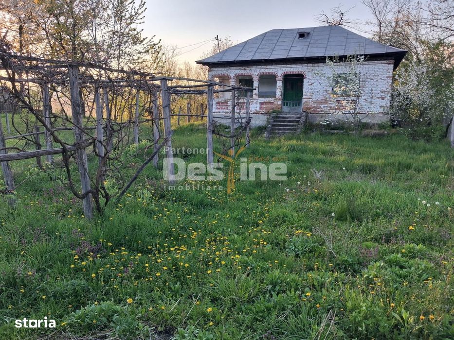 Casa batraneasca cu teren 1150 mp, vie si livada – Șerbanesti, Paus