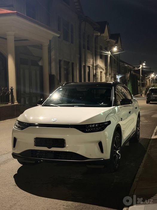 Leap Motor c11 ev full