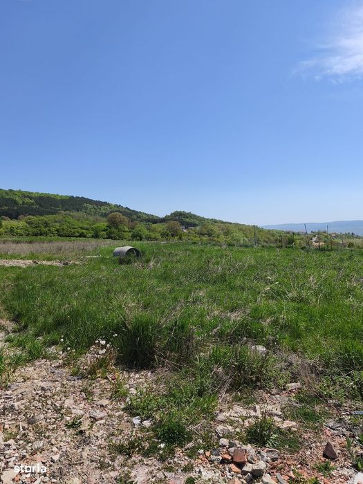 Teren 1000 mp intravilan