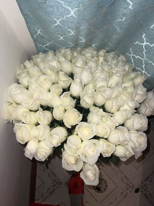 Розы белый 101 свежый