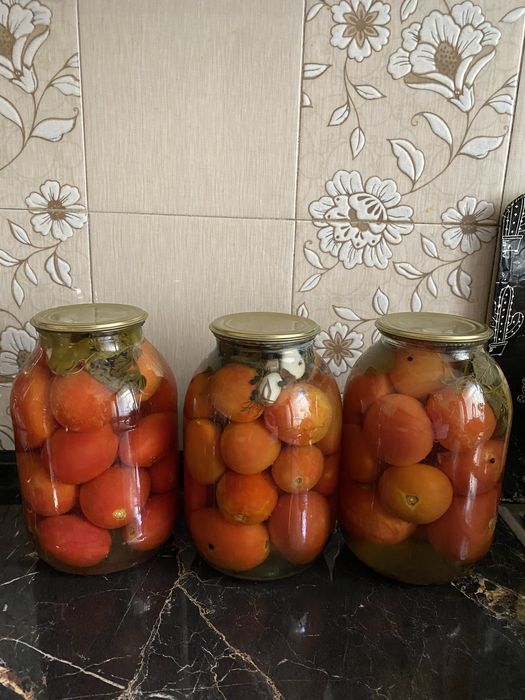 Соленые помидоры(закатка 2025 года)