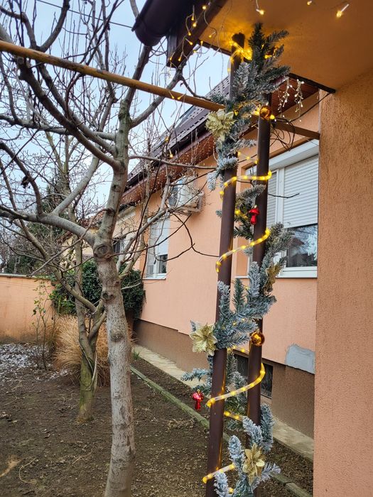 Casă zona Titulescu