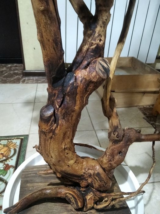 Бонсай ручная работа