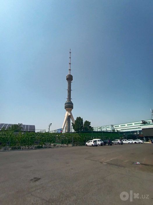 Экскурсия по Ташкенту и в горы Чимган, авто KIA Seltos для 4х человек