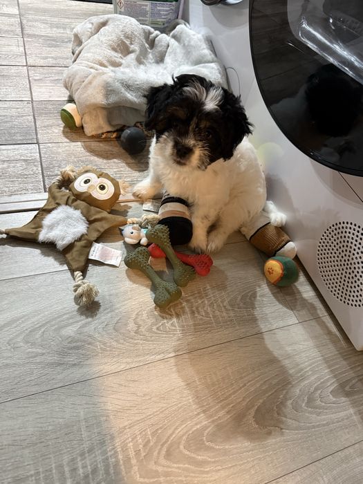 Fetița frumoasa si educata