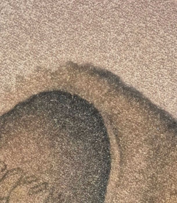 Килими Digital Print 100/150  100% полиамид