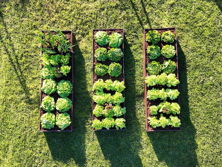 Градинска леха Primaterra сив/кафяв/ зелен цвят