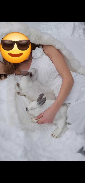 Рокли официални о