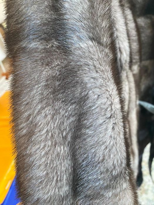 Шуба норковая...