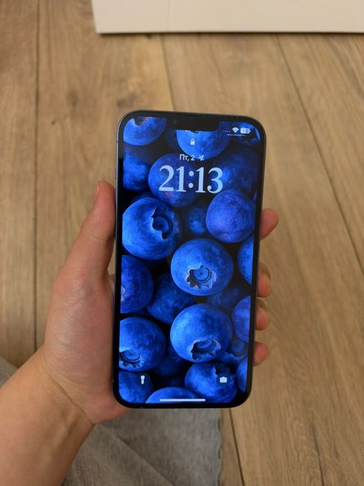 iPhone 13 pro max 256