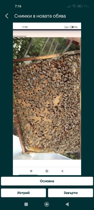 П ч е л н и   о т в о д к и