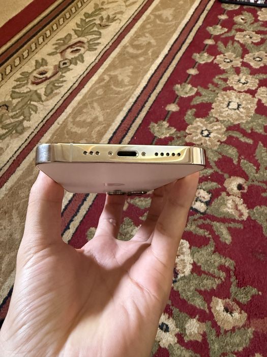 iPhone 13 pro