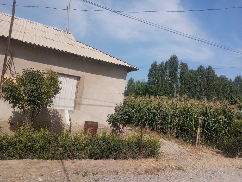 Hovli sotiladi, 17 sotix