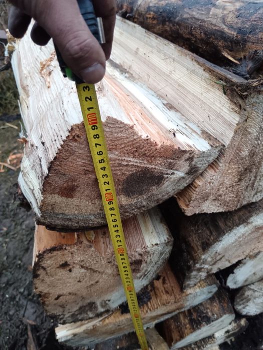 Vand lemne brad uscate si fag/transport inclus!