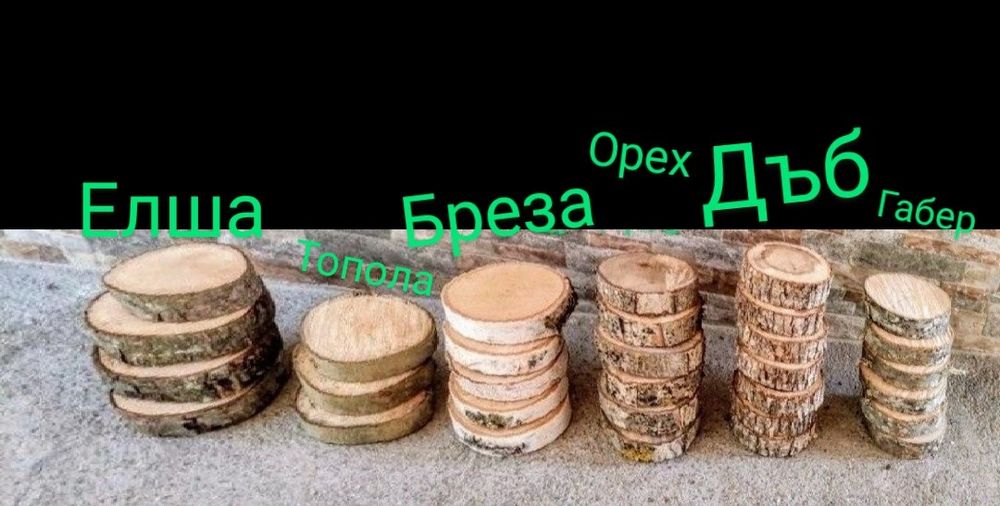 Дървени шайби Дъб,Елша,Бреза,Габер,Бор,Орех,Върба,Леска от 1 лв