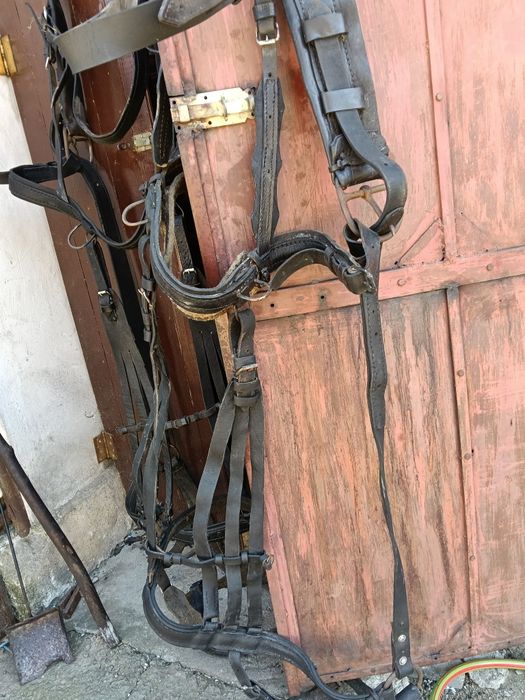 Vând 2 hamuri pentru cai