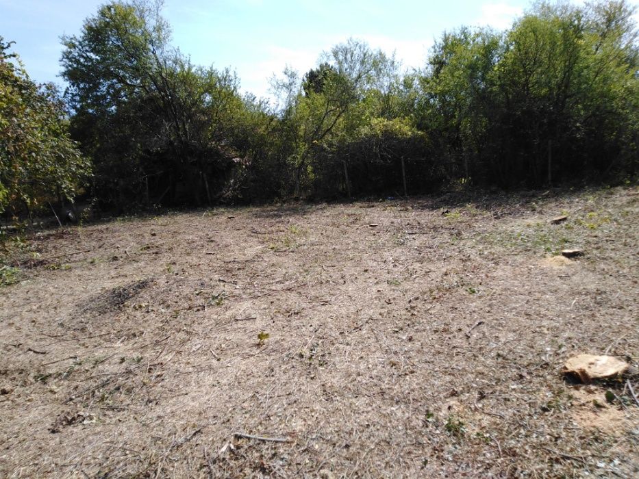 От 1лв на кв.м разчиства буренясали вили