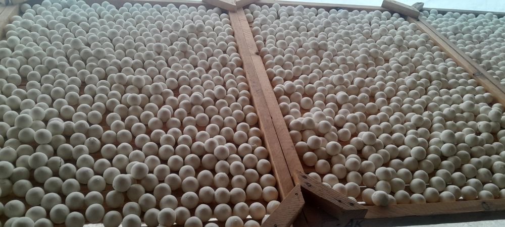 Qurut,sirni palichka.