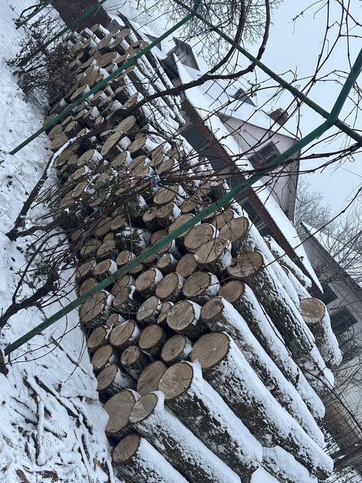 Lemne de stejar de vânzare – Coșoveni, Dolj