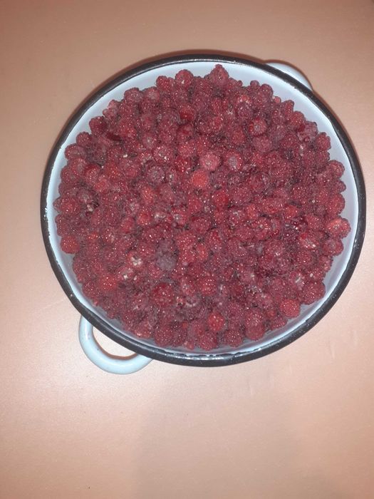 Продам малину домашнюю