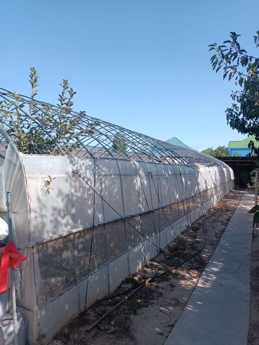 Теплица сатылады срочно.