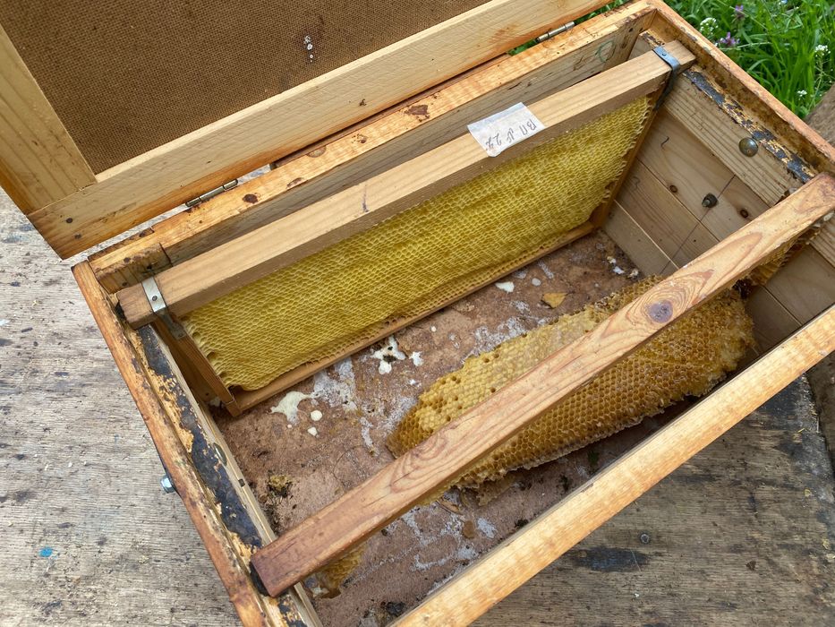 Магазини с изградени рамки, пчеларски