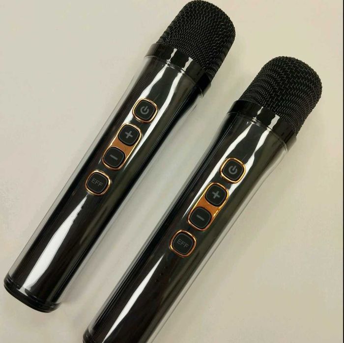 Тонколона караоке LILUOSUO NR-8806 с 2 микрофона