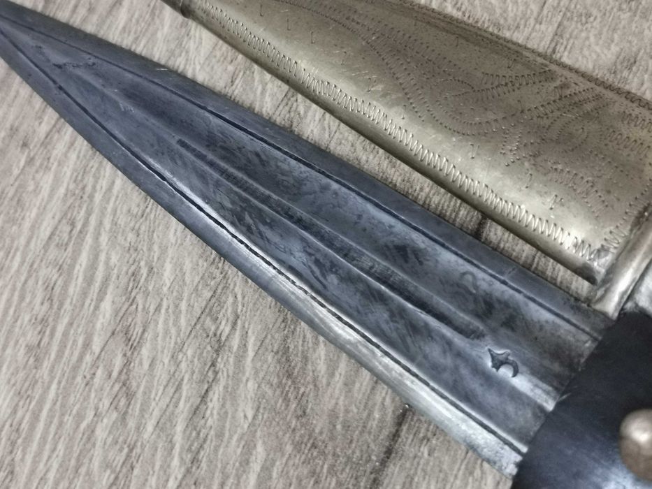 Кавказка кама с кания