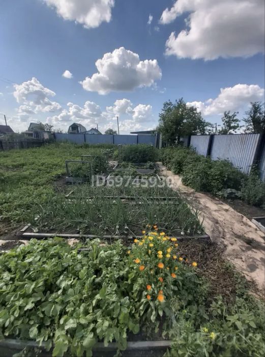 Дача зерендинские дачи