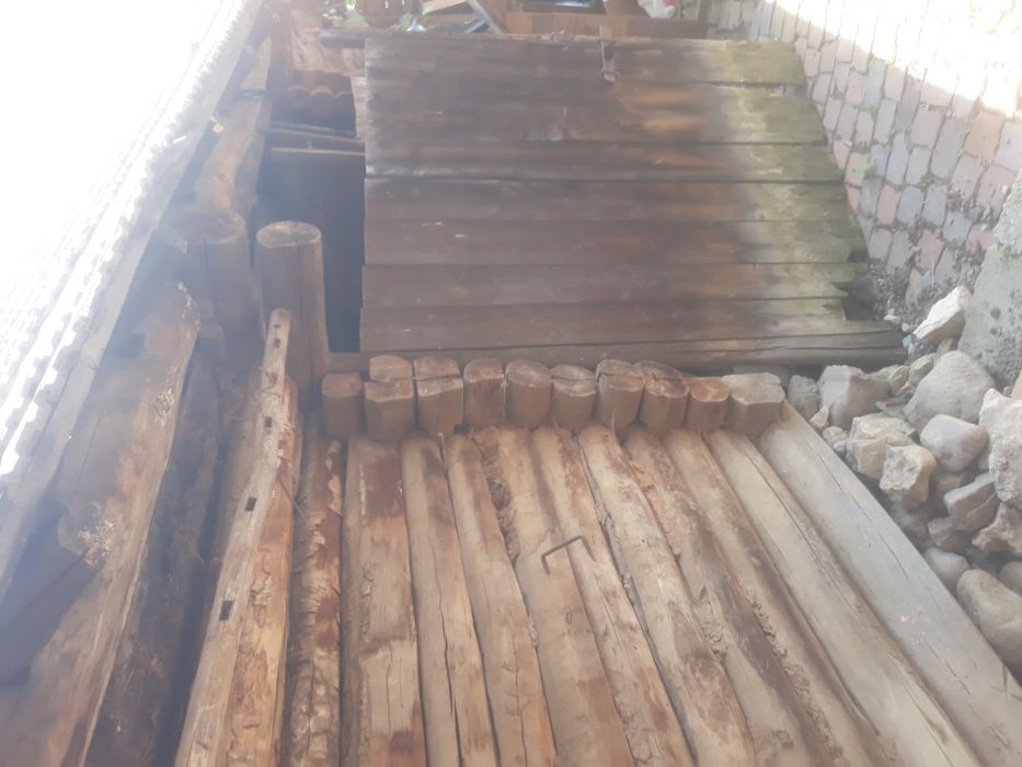 Sură veche lemn fag