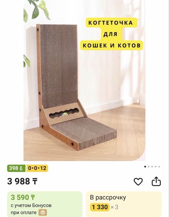 Продам пародистого котенка