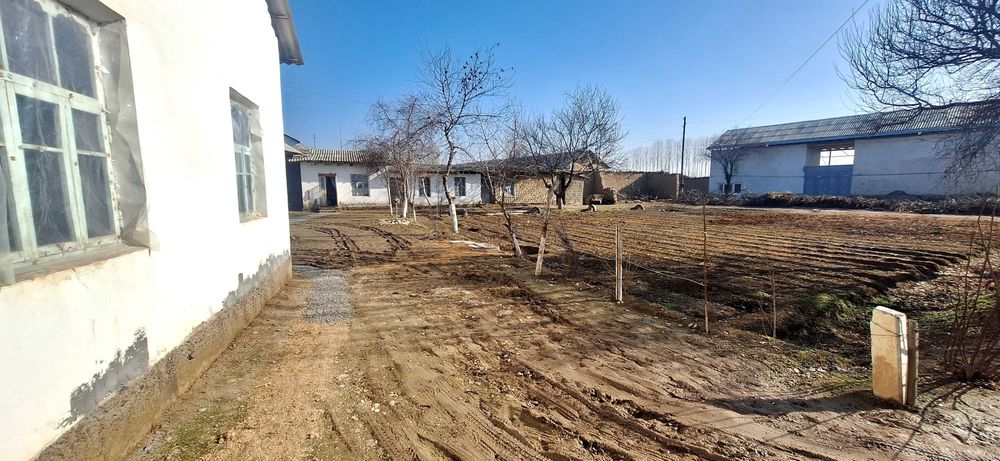 Uy sotiladi Chinoz tumanida