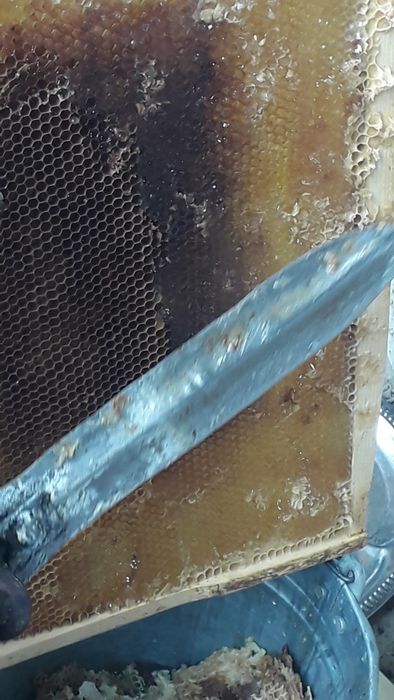 Buxoro vil. Kogon t.da Asalori oilasi sotiladi 1 ta ramkasi 150 000 co