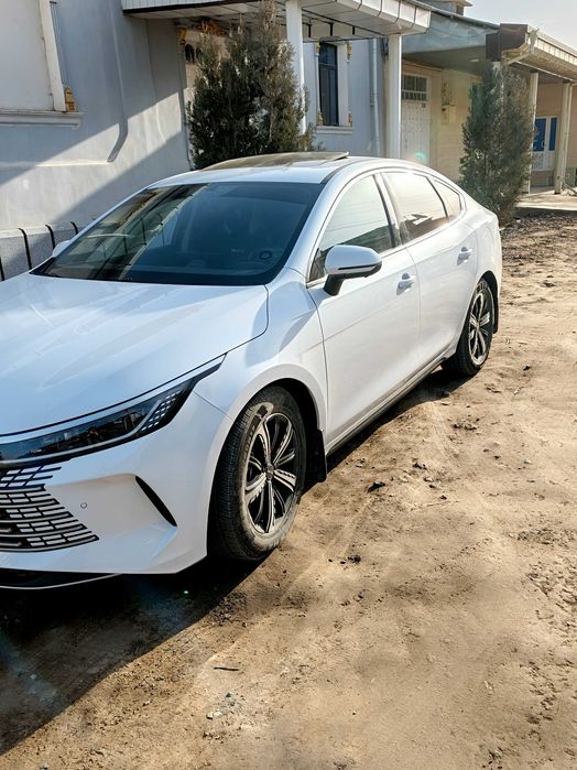 BYD chazor Luxe 55km