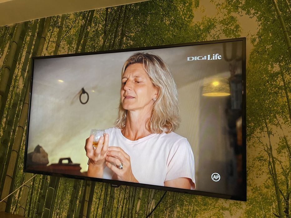 TV LED FHD 48 Inch 120 CM Philips TV LED