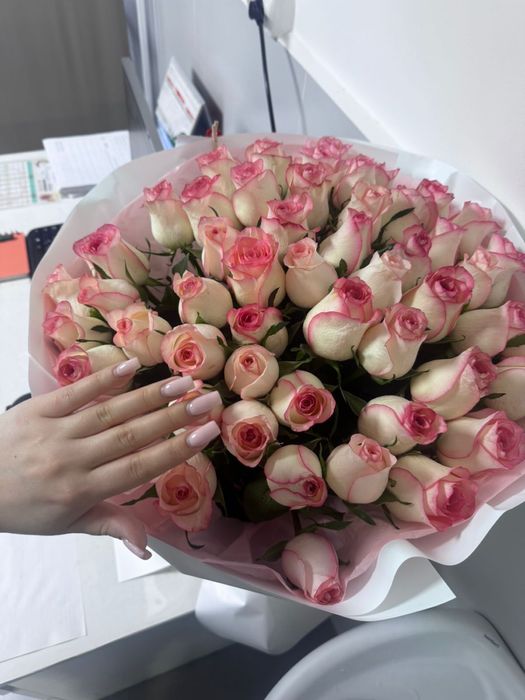 51 роза, свежие красивыее