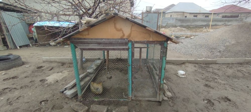 Тауық қора сатылады