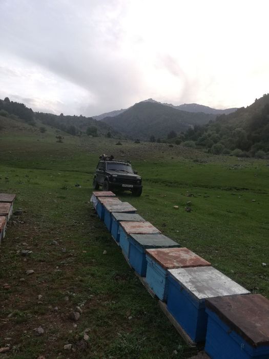 Продаётся Нива срочно