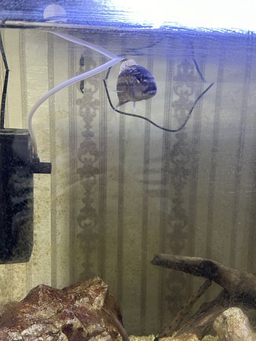 Продам аквариум большого размера.