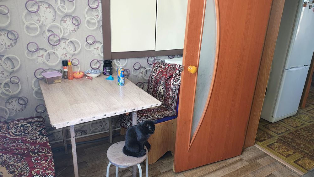 Продается дом на два хозяина.