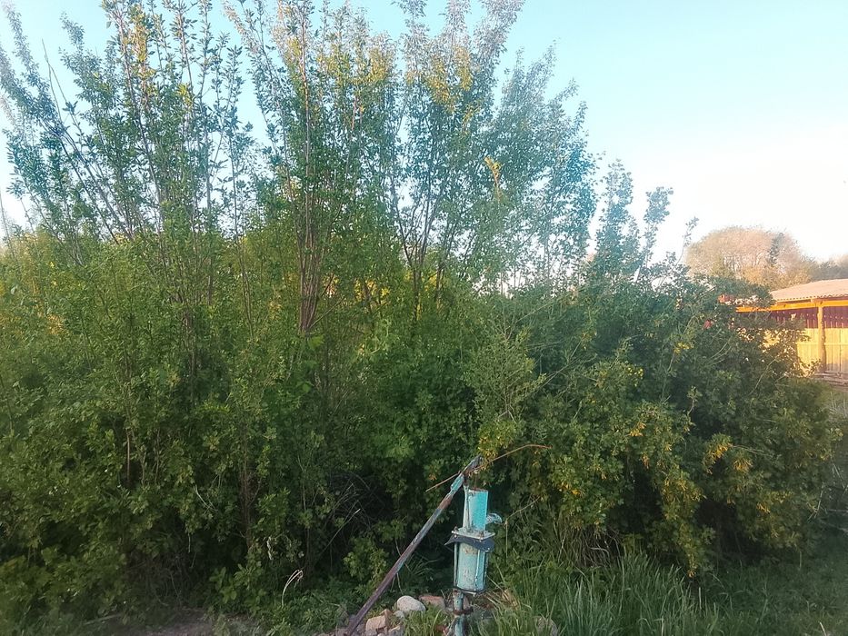 Продается Дом Кальпе или Обмен.