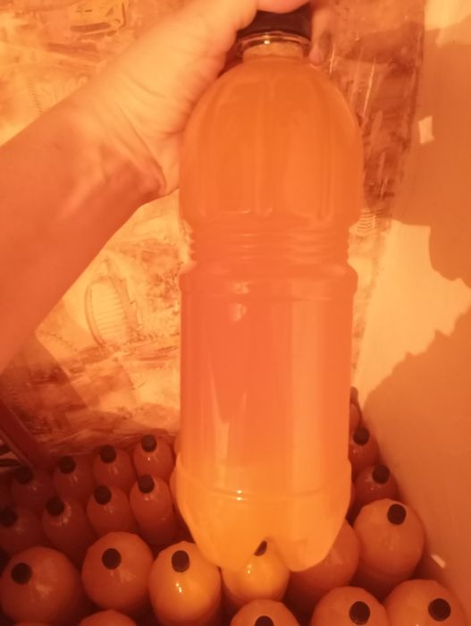 Продам свежий мед