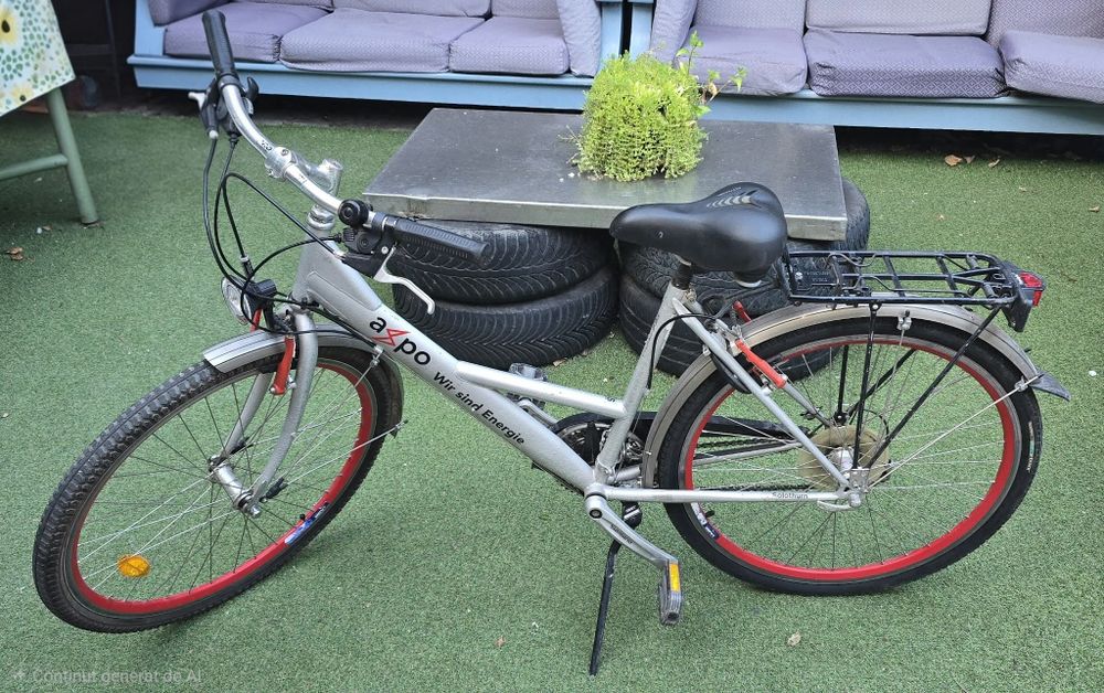 Bicicleta femei.