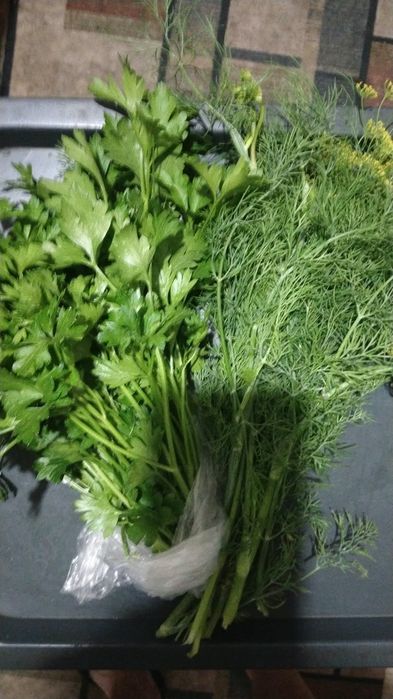 Продам  помидоры перец и баклажаны