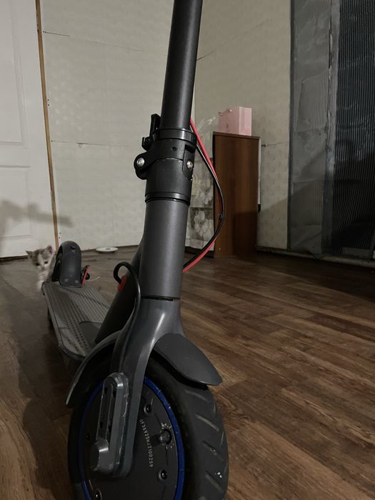 Продаю самокат на ходу