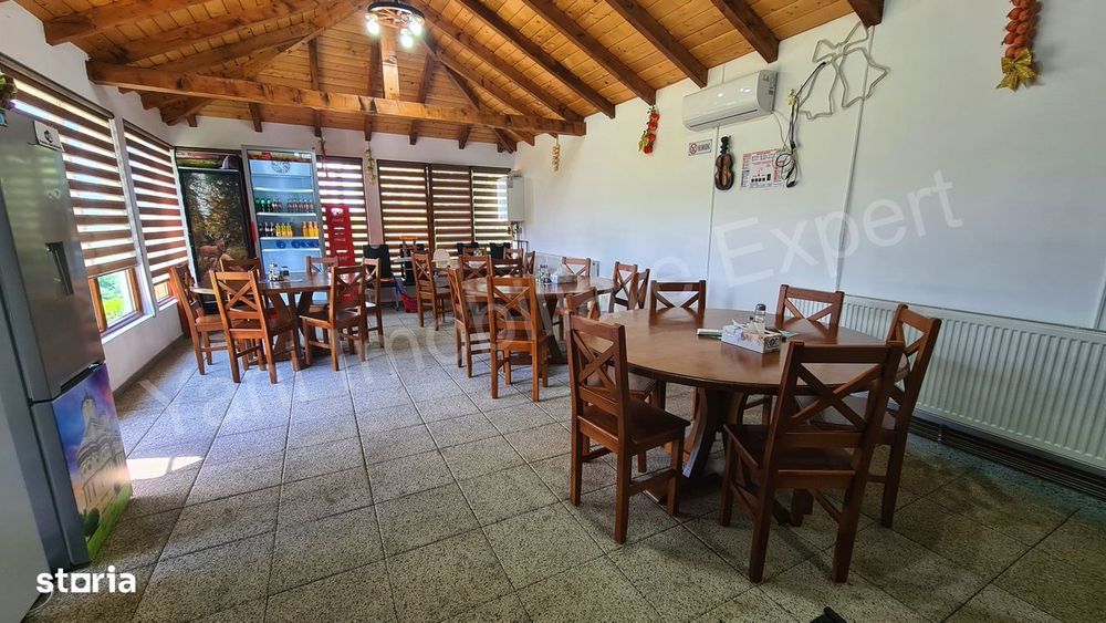 Complex turistic de vânzare în Curtea de Argeș.