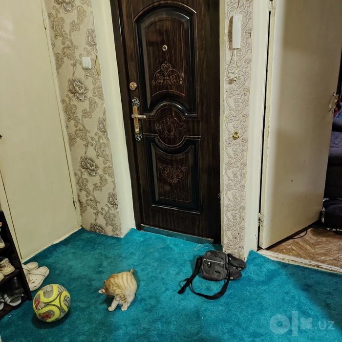 Срочно продаётся Новза метро 2х комнатная 74 кв.м