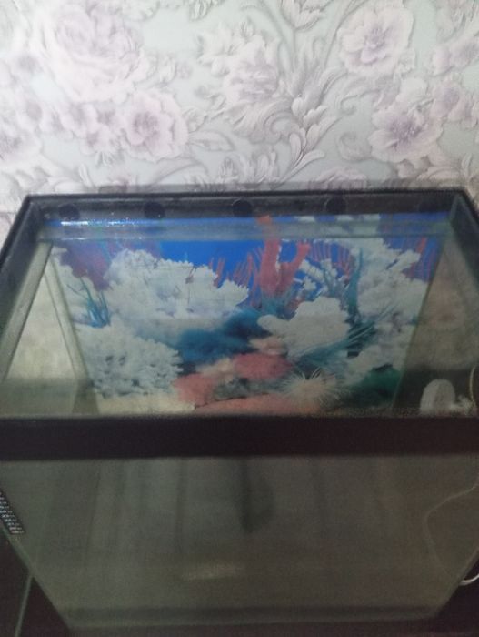 Продам два аквариума,