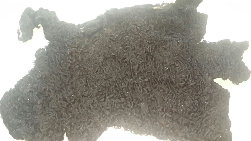 Каракуль. Мех. Шкурки.