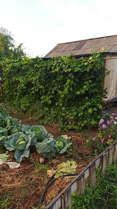 Продам дачу 12 соток